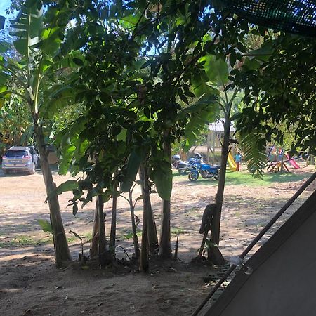 The Riverdeck Accommodation And Backpackers 克尼斯纳 外观 照片