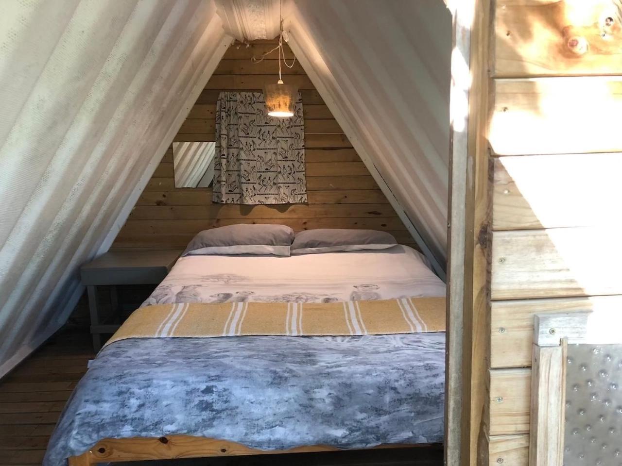 The Riverdeck Accommodation And Backpackers 克尼斯纳 外观 照片