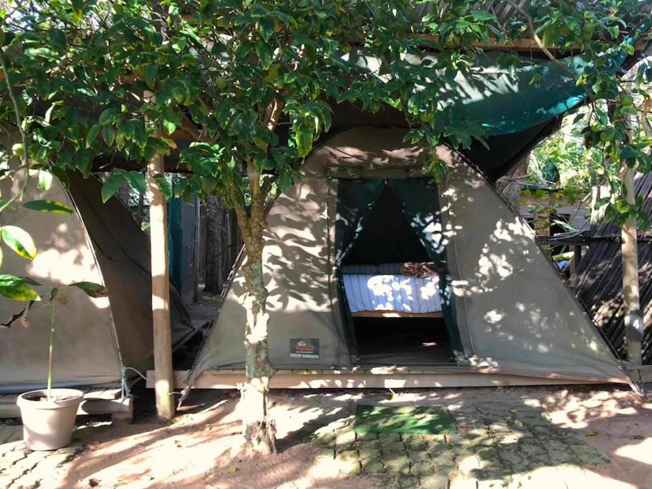 The Riverdeck Accommodation And Backpackers 克尼斯纳 外观 照片