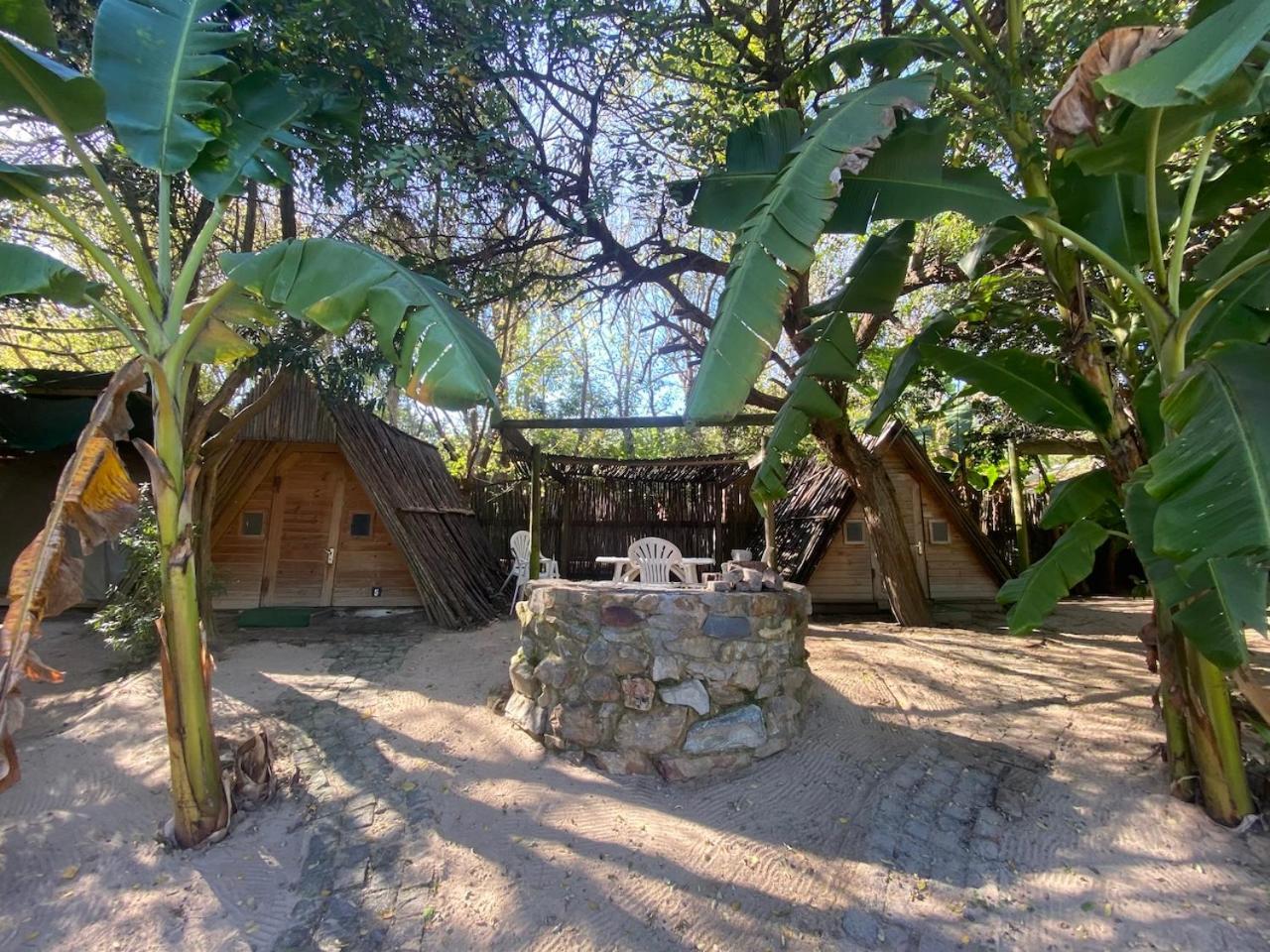 The Riverdeck Accommodation And Backpackers 克尼斯纳 外观 照片