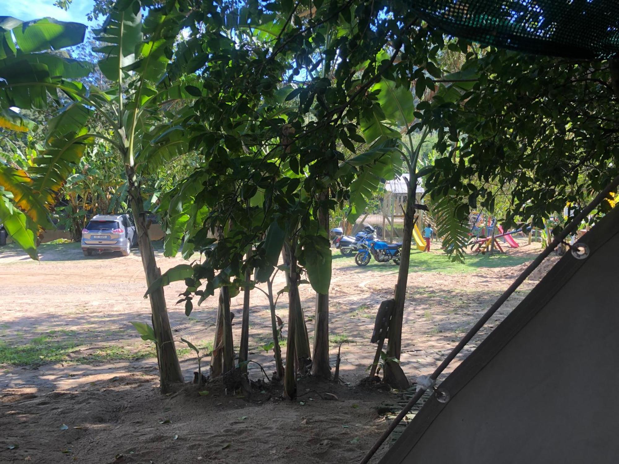 The Riverdeck Accommodation And Backpackers 克尼斯纳 外观 照片