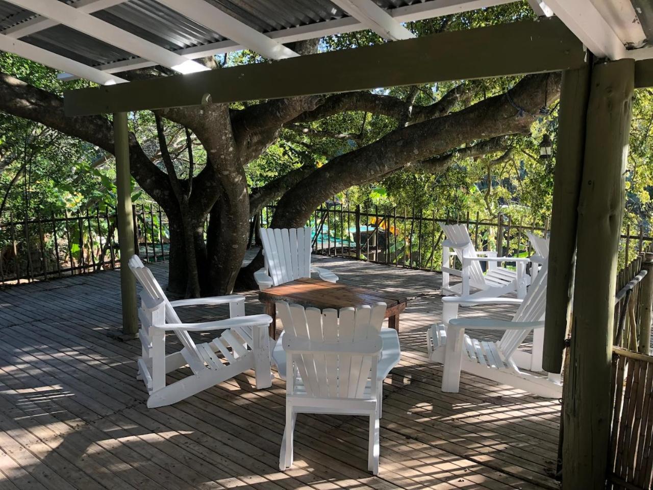 The Riverdeck Accommodation And Backpackers 克尼斯纳 外观 照片
