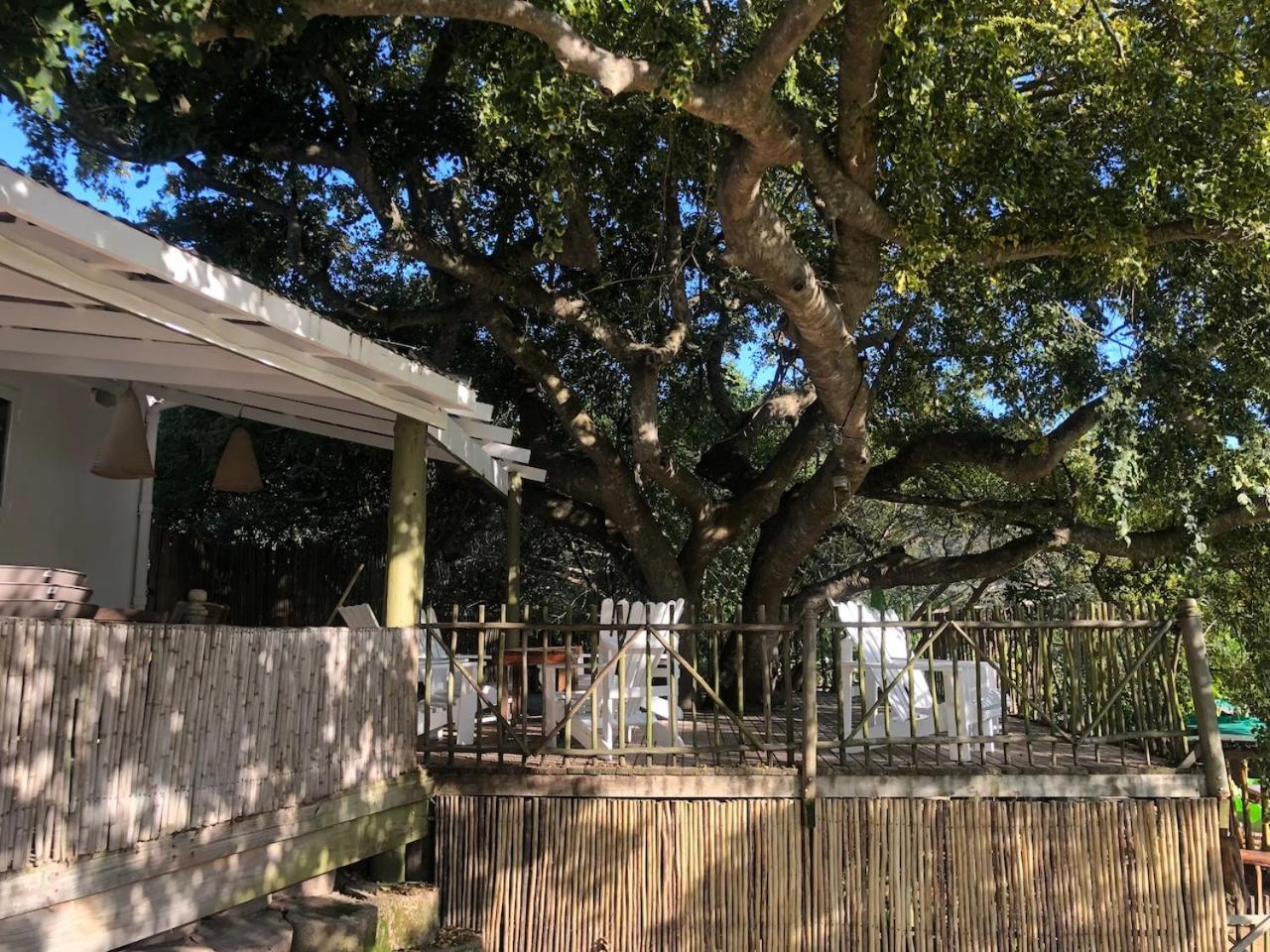 The Riverdeck Accommodation And Backpackers 克尼斯纳 外观 照片