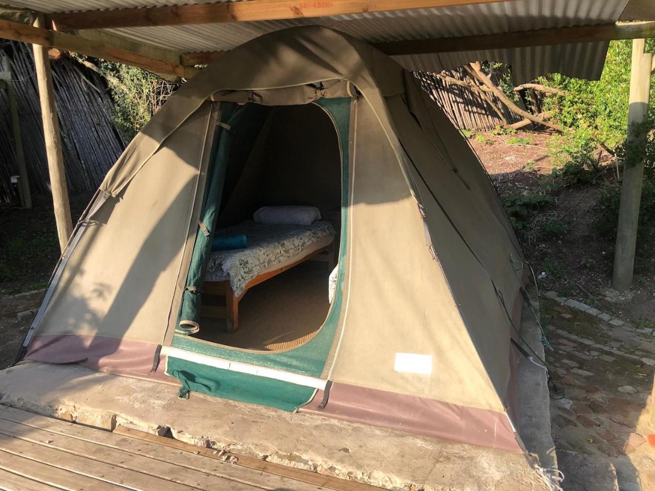 The Riverdeck Accommodation And Backpackers 克尼斯纳 客房 照片