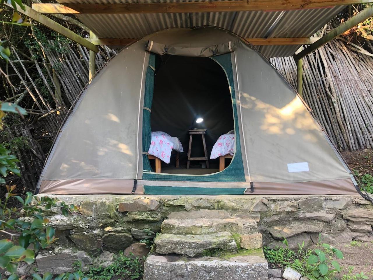 The Riverdeck Accommodation And Backpackers 克尼斯纳 客房 照片