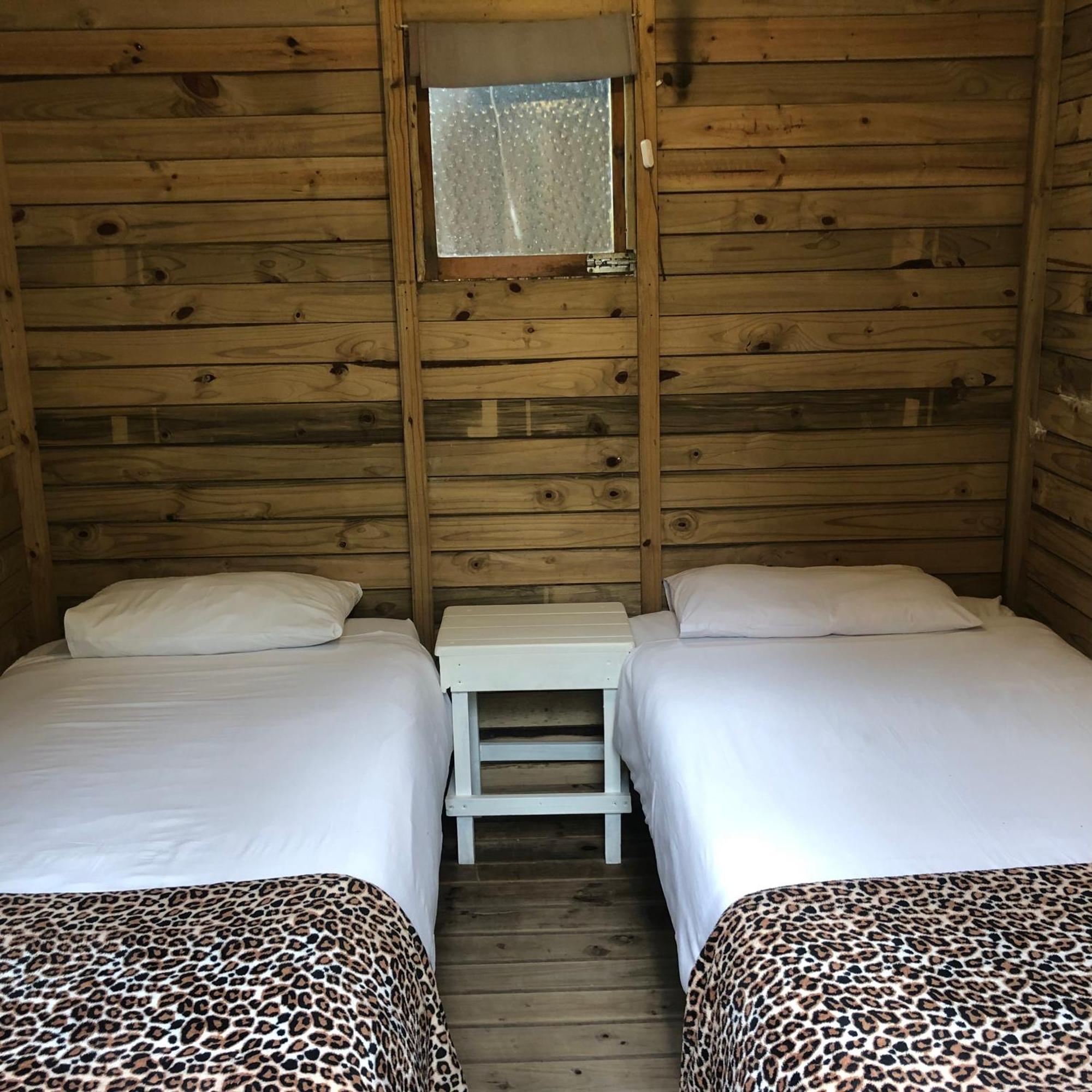 The Riverdeck Accommodation And Backpackers 克尼斯纳 外观 照片