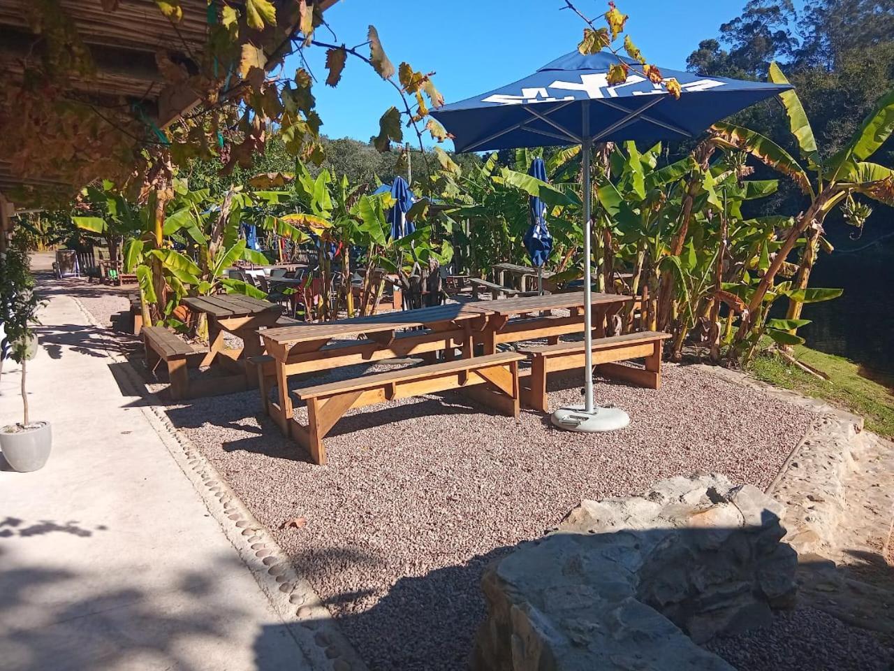 The Riverdeck Accommodation And Backpackers 克尼斯纳 外观 照片