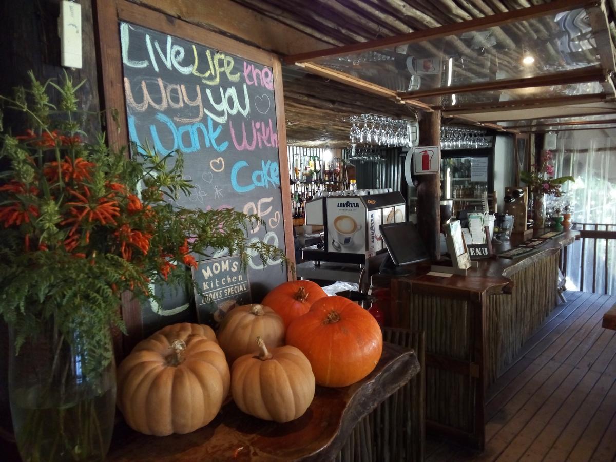 The Riverdeck Accommodation And Backpackers 克尼斯纳 外观 照片